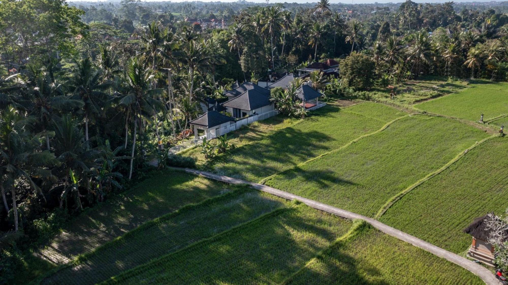 Capung Asri Eco Luxury Resort With Private Pool Villas Bedulu Kültér fotó