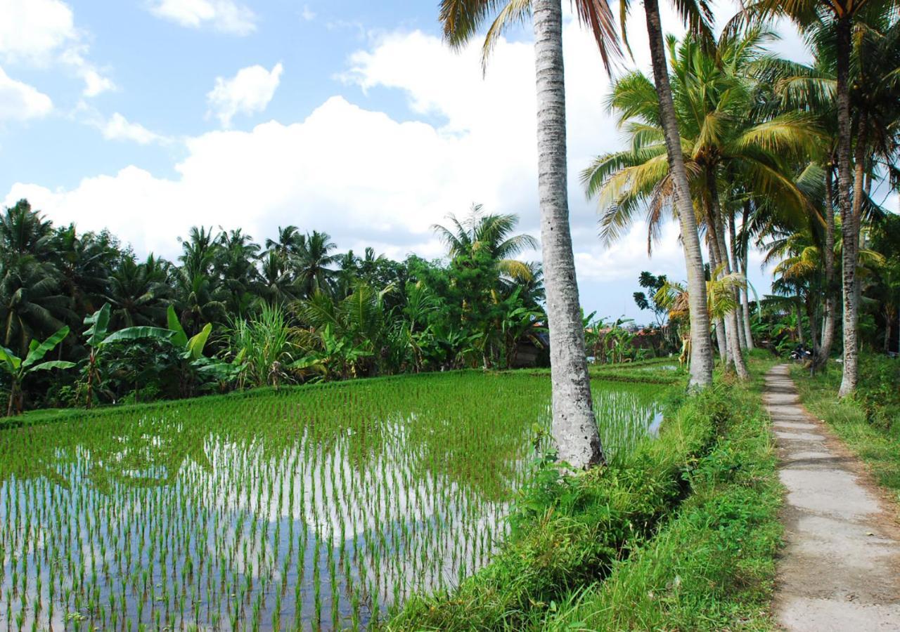 Capung Asri Eco Luxury Resort With Private Pool Villas Bedulu Kültér fotó
