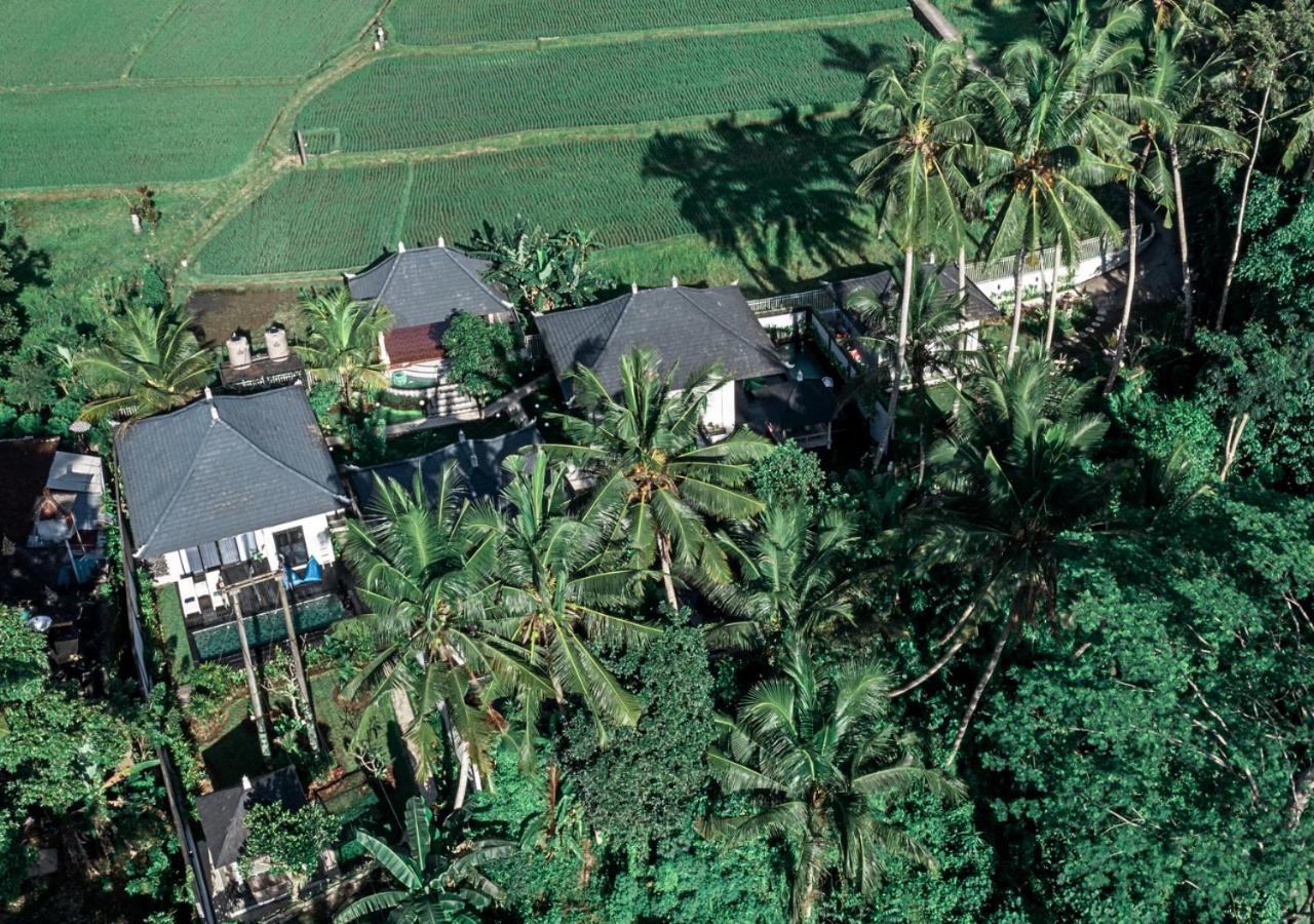 Capung Asri Eco Luxury Resort With Private Pool Villas Bedulu Kültér fotó